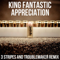 Appreciation (3 Stripes & Troublemaker Remix)