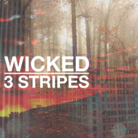 3 Stripes – Wicked