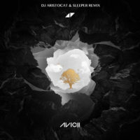 Avicii – Without You – DJ Aristocat & Sleeper Remix